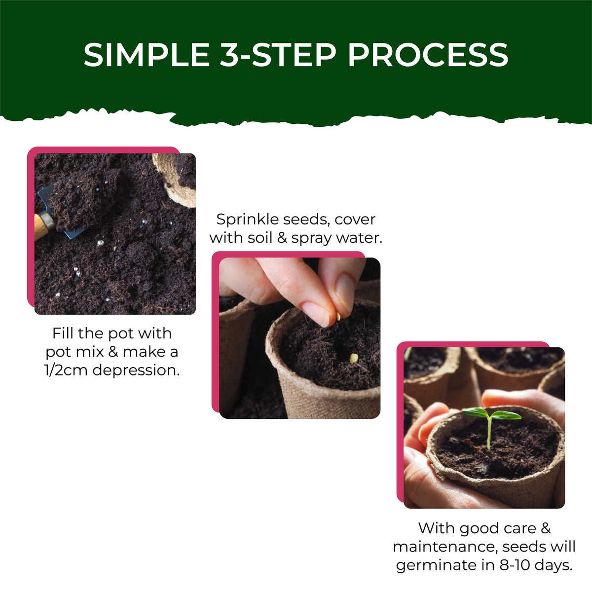 Cosmos Grow Kit (Medium) - official Pot & Bloom image