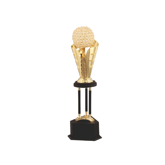 BSTM48- Super Over Victory Trophy