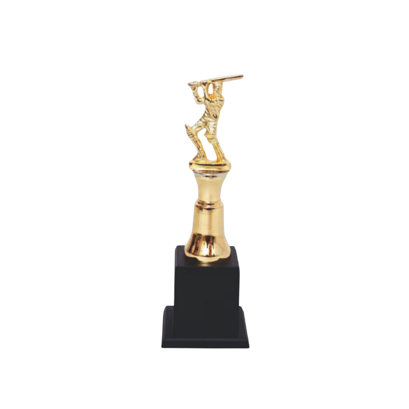 BSTM53- Infinity Cricket League Trophy