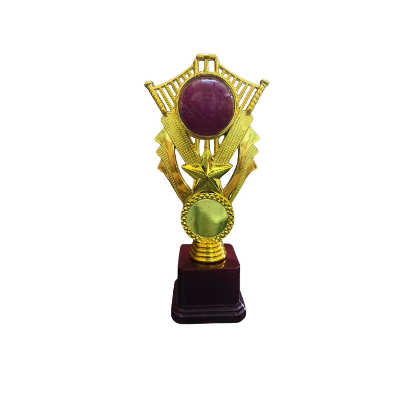 BSTM54- Man of the Match Trophy