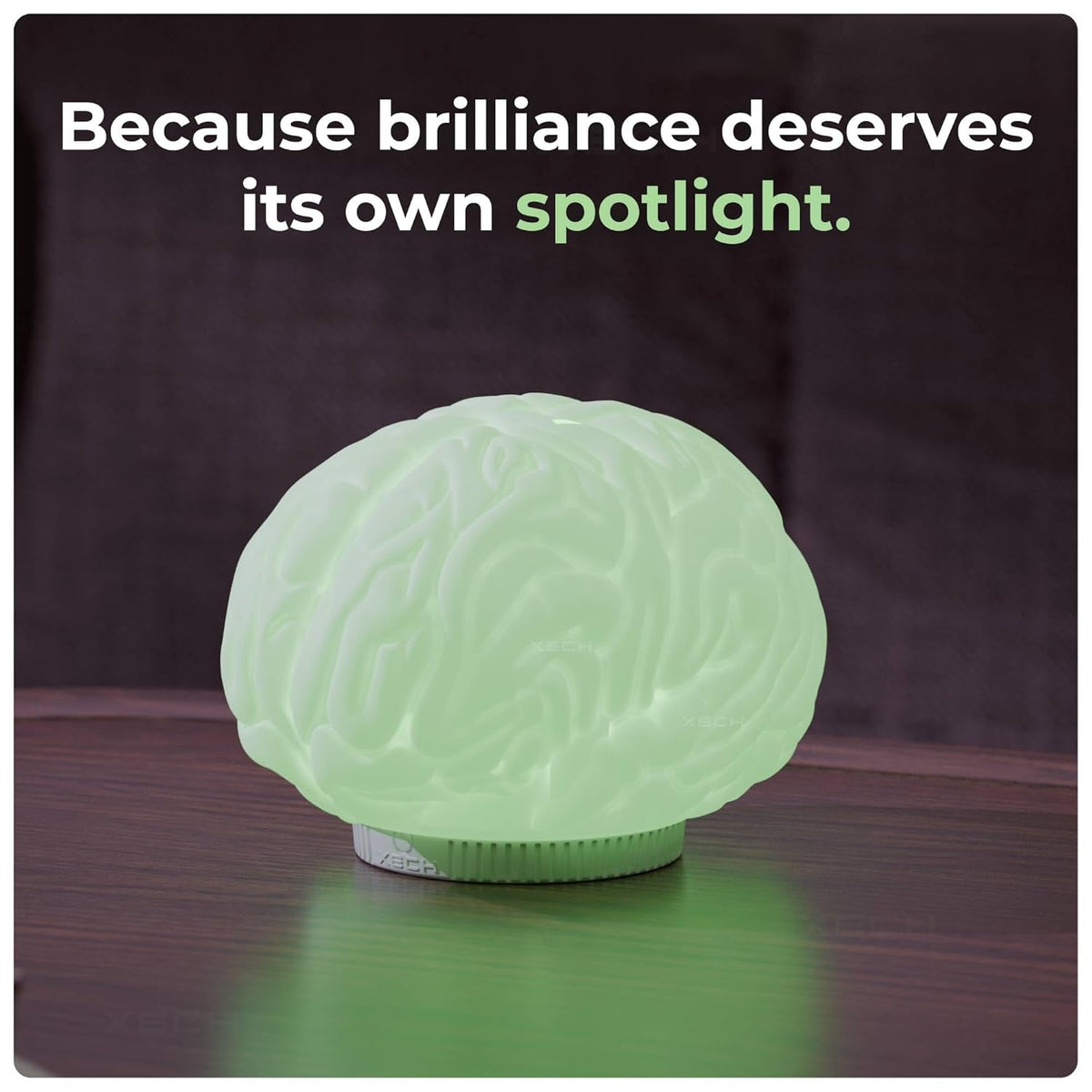 ED88- XECH Brain Night Lamp