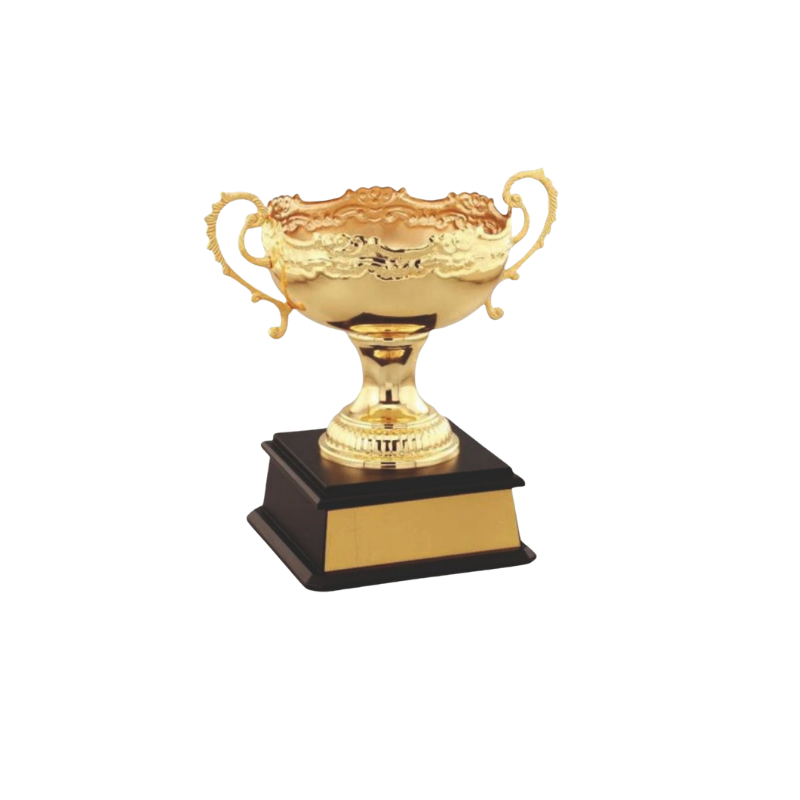 BSTM43- Champion’s Innings Trophy