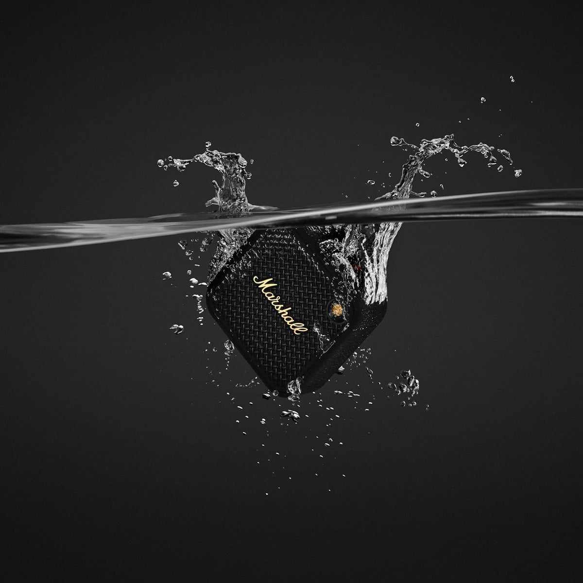 ED93- Marshall Willen Bluetooth Speaker