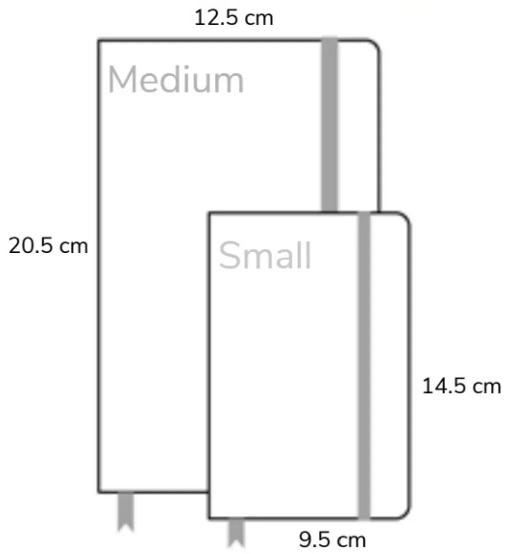 Sheaffer 9338 BP + Medium Notebook