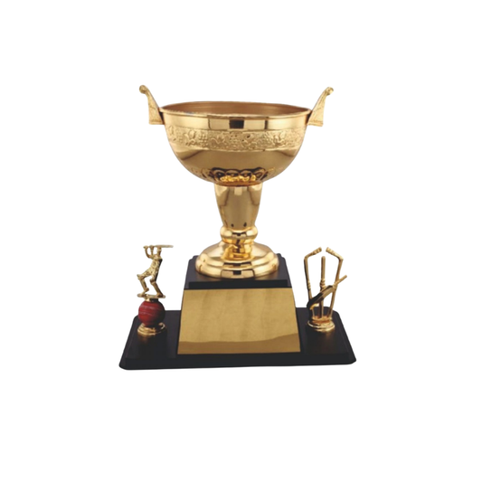 BSTM45- Stellar Cricket Cup