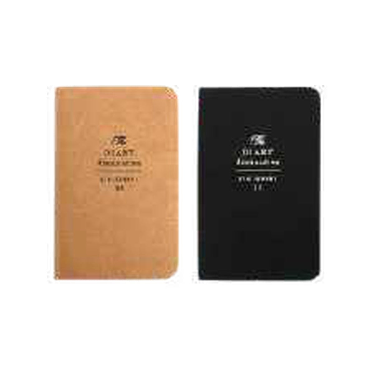 BSN127 - DIMINUTIVE DIARY SET OF 2 - Default Title product image