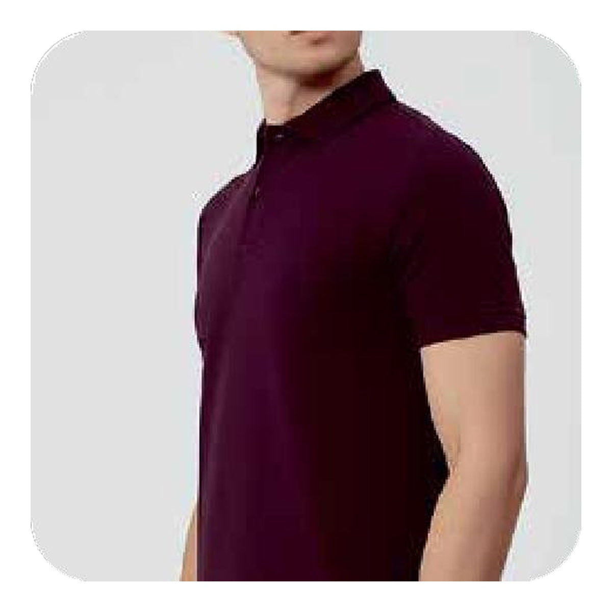 Peter England polo T-shirt in wine - angled view