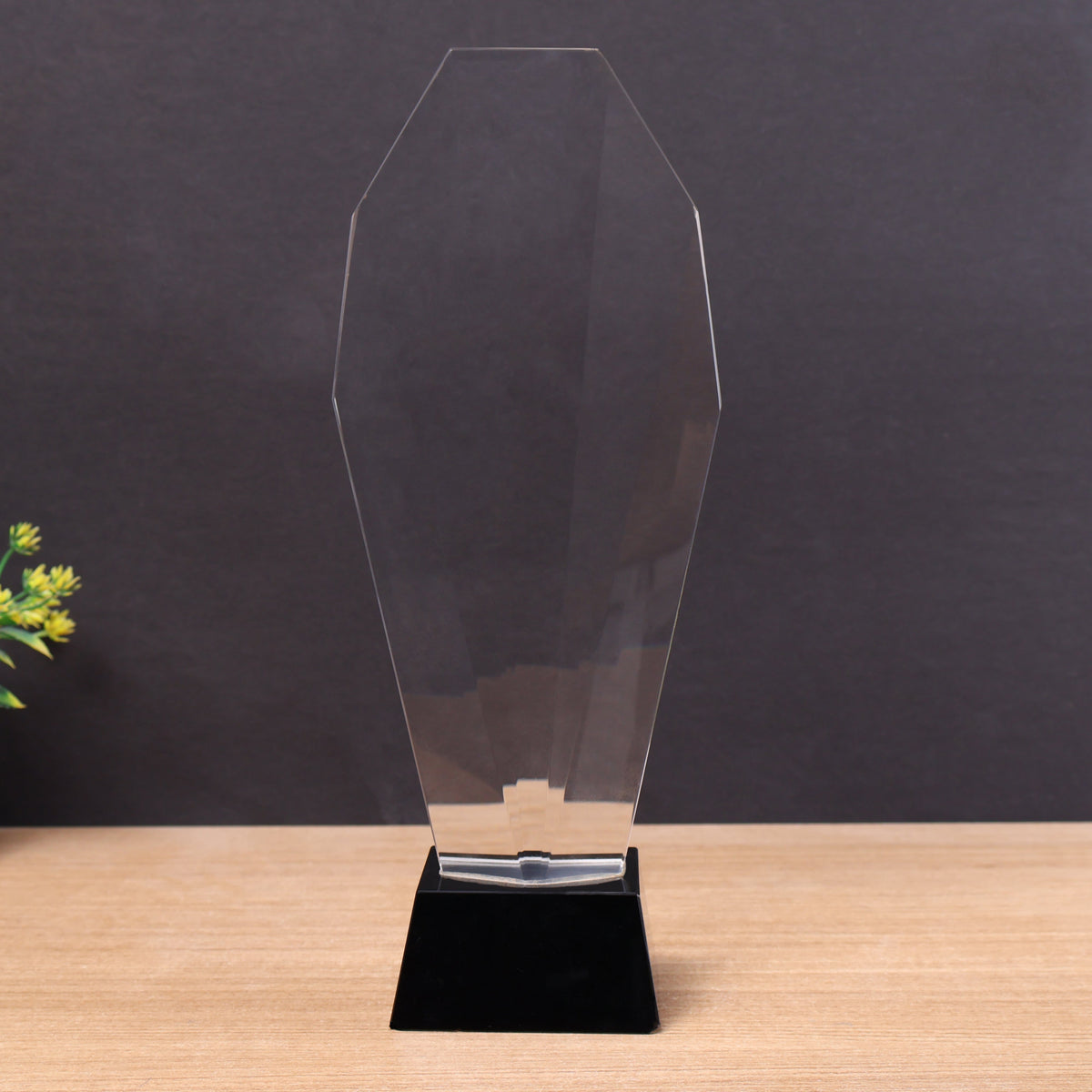 BSTM59 Custom Trophy