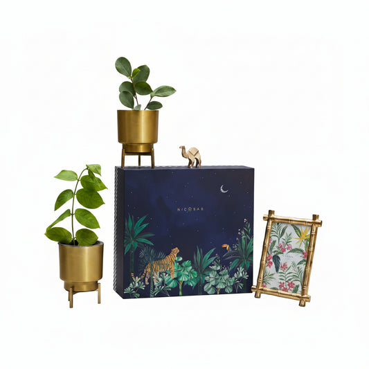 CD201-Nicobar-The Gilded Desk Gift Set