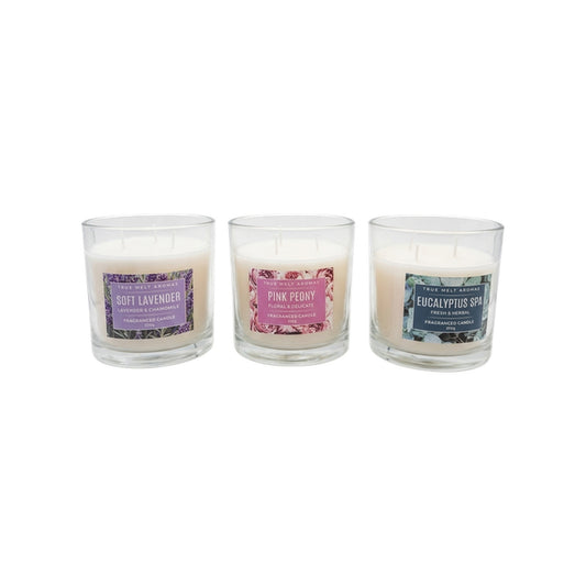 CD576 - SCENTED CANDLE 3 ASST FRAGRANCES 360GM