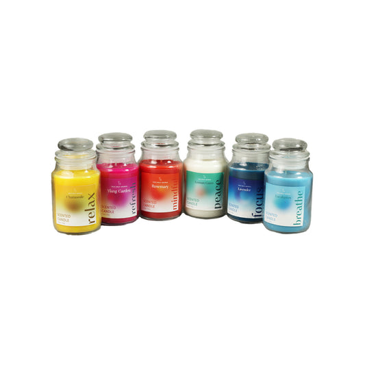 CD587 - AROMATHERAPY SCENTED CANDLE WAX WEIGHT:150 GM /5.3OZ