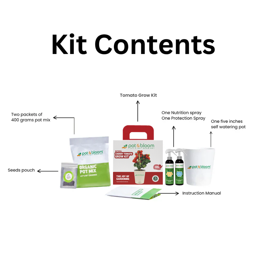 Cherry Tomato Grow Kit (medium) - official Pot & Bloom image