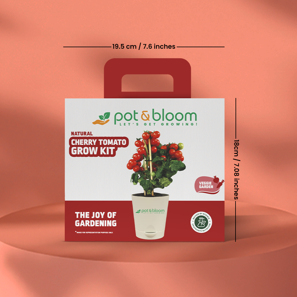 Cherry Tomato Grow Kit (medium) - official Pot & Bloom image
