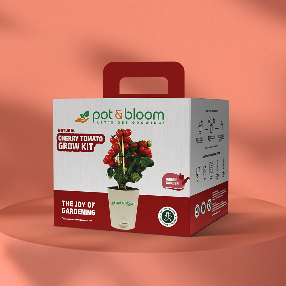 Cherry Tomato Grow Kit (medium) - official Pot & Bloom image