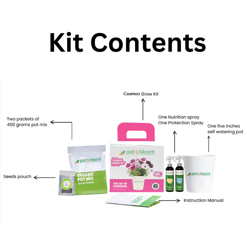 Cosmos Grow Kit (Medium) - official Pot & Bloom image