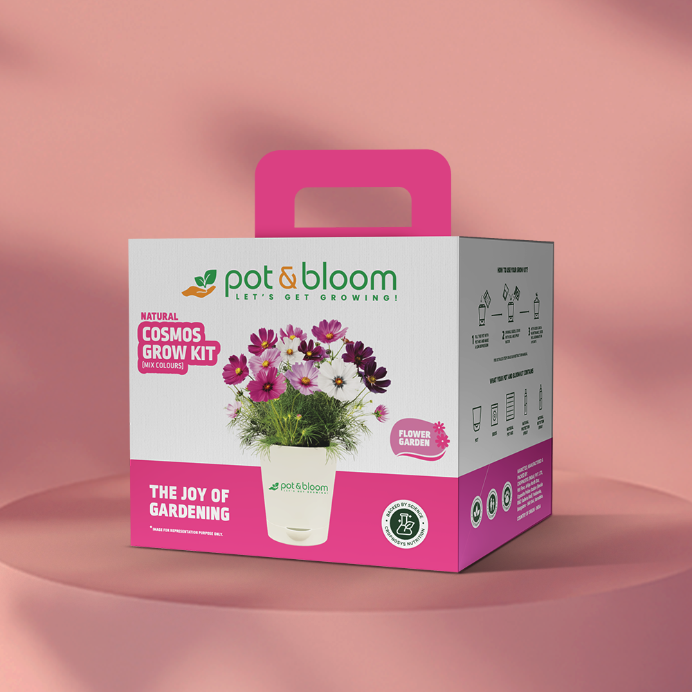 Cosmos Grow Kit (Medium) - official Pot & Bloom image