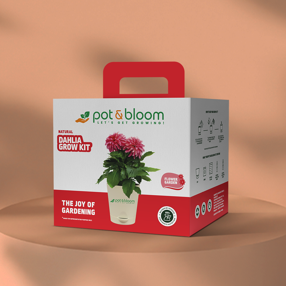 Dahlia Grow Kit (Medium) - official Pot & Bloom image