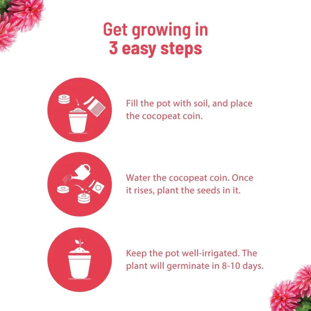 Dahlia Grow Kit (Medium) - official Pot & Bloom image