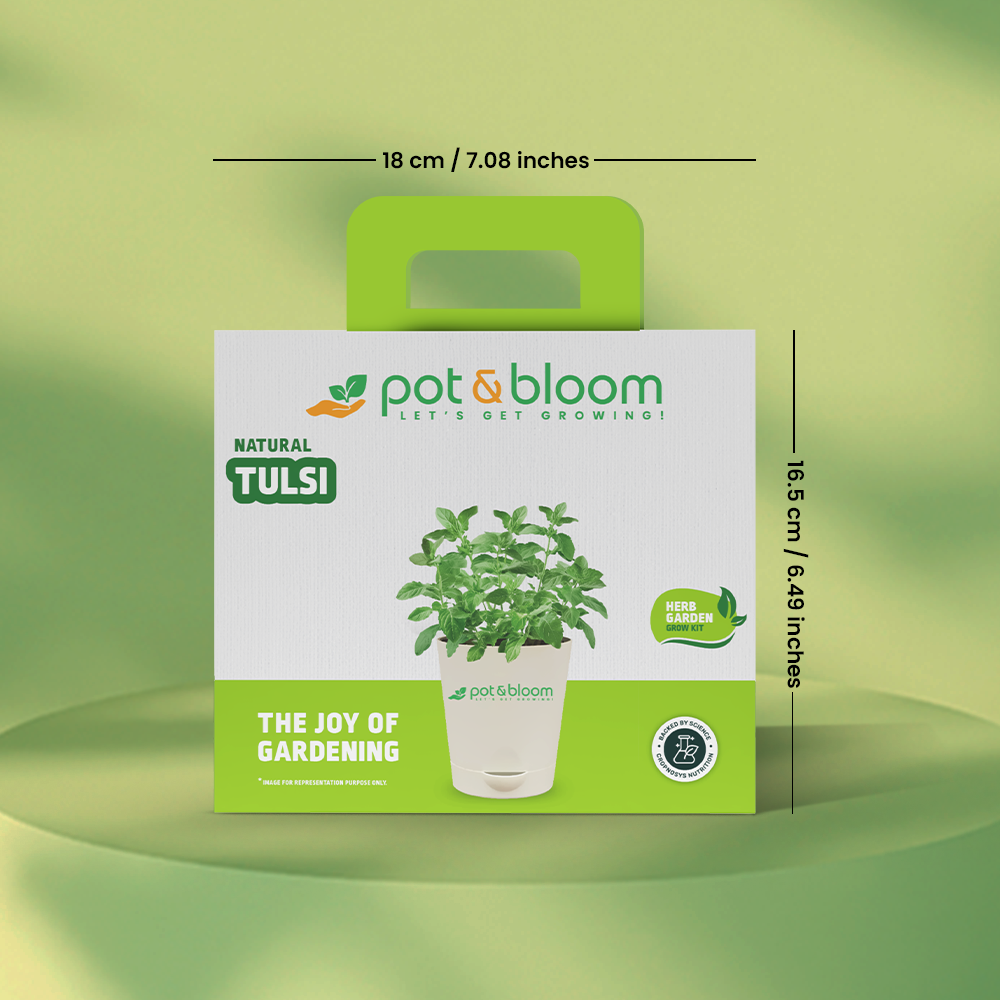 Tulsi Grow Kit - official Pot & Bloom image