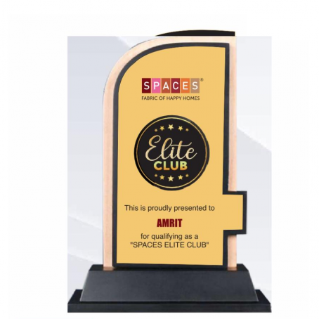 BSTM05- Excellence Trophy