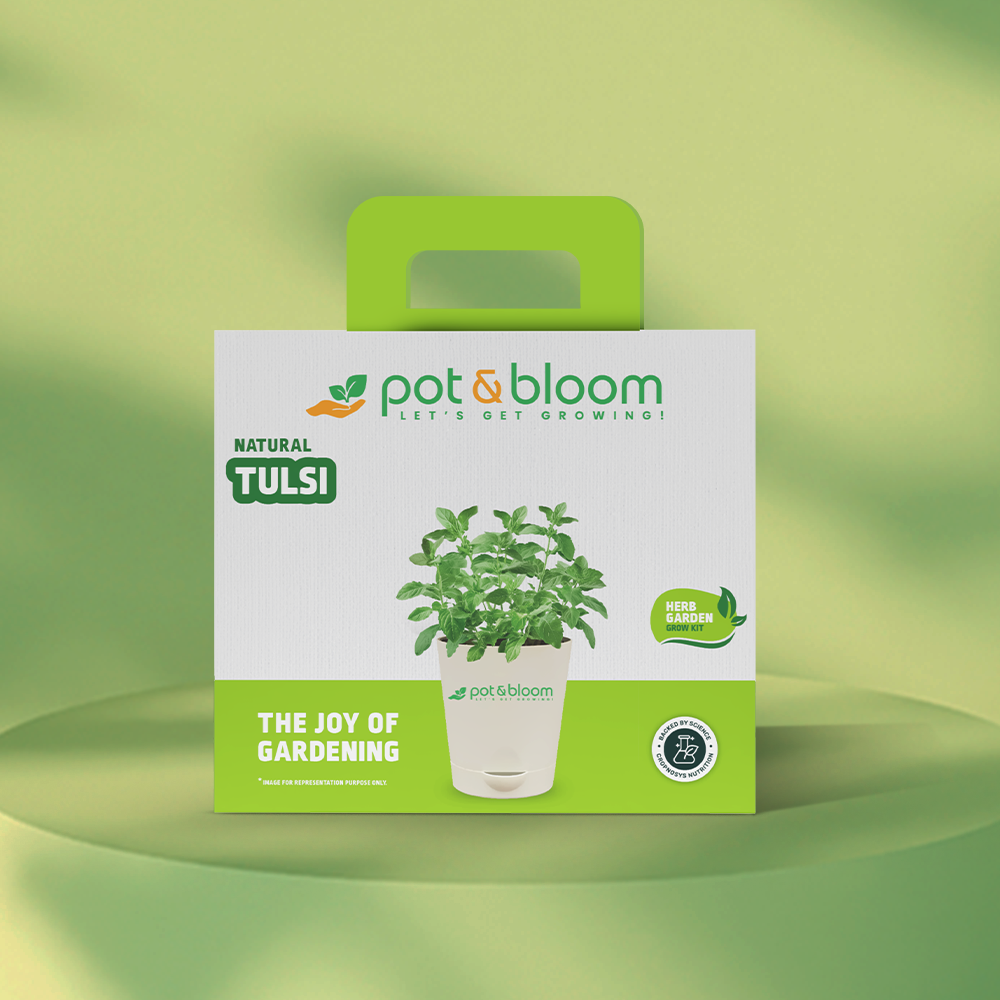 Tulsi Grow Kit - official Pot & Bloom image