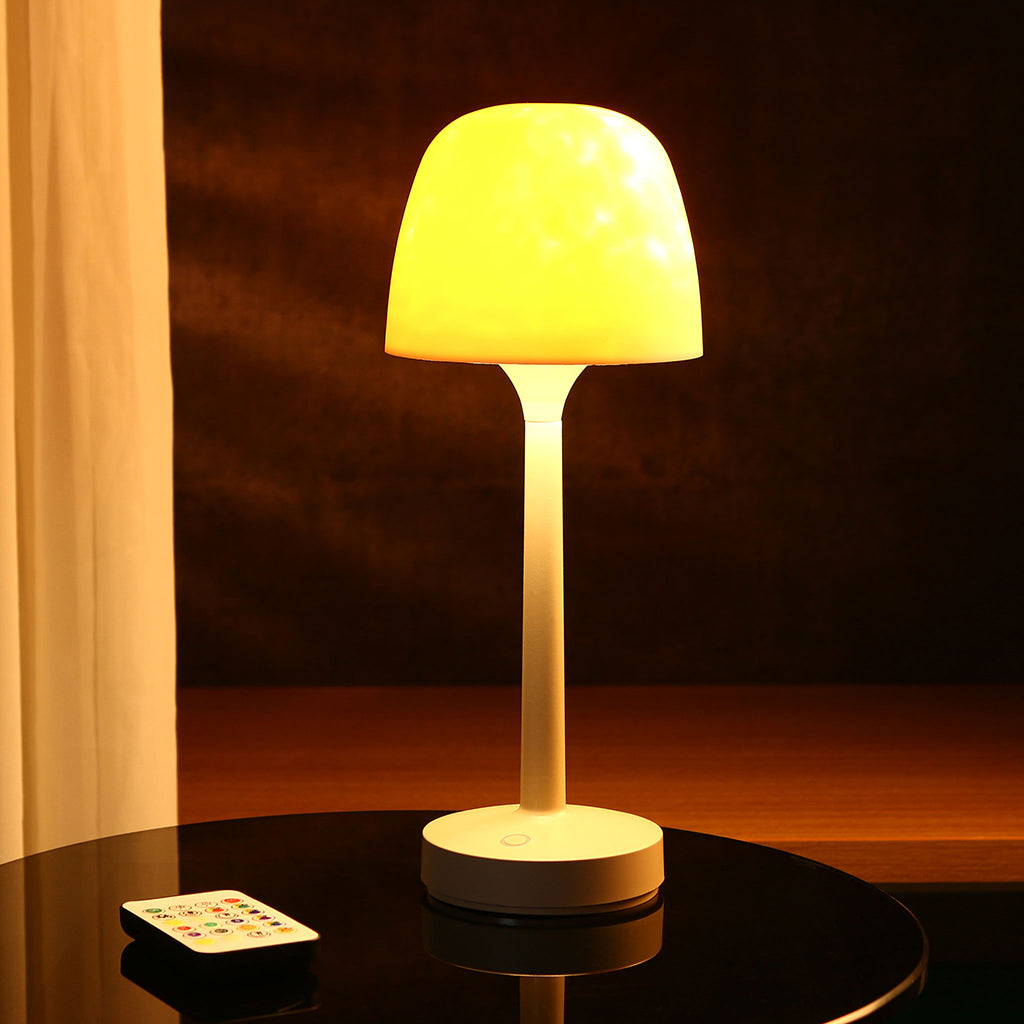 OG23- Magical Light & Shadow Lamp