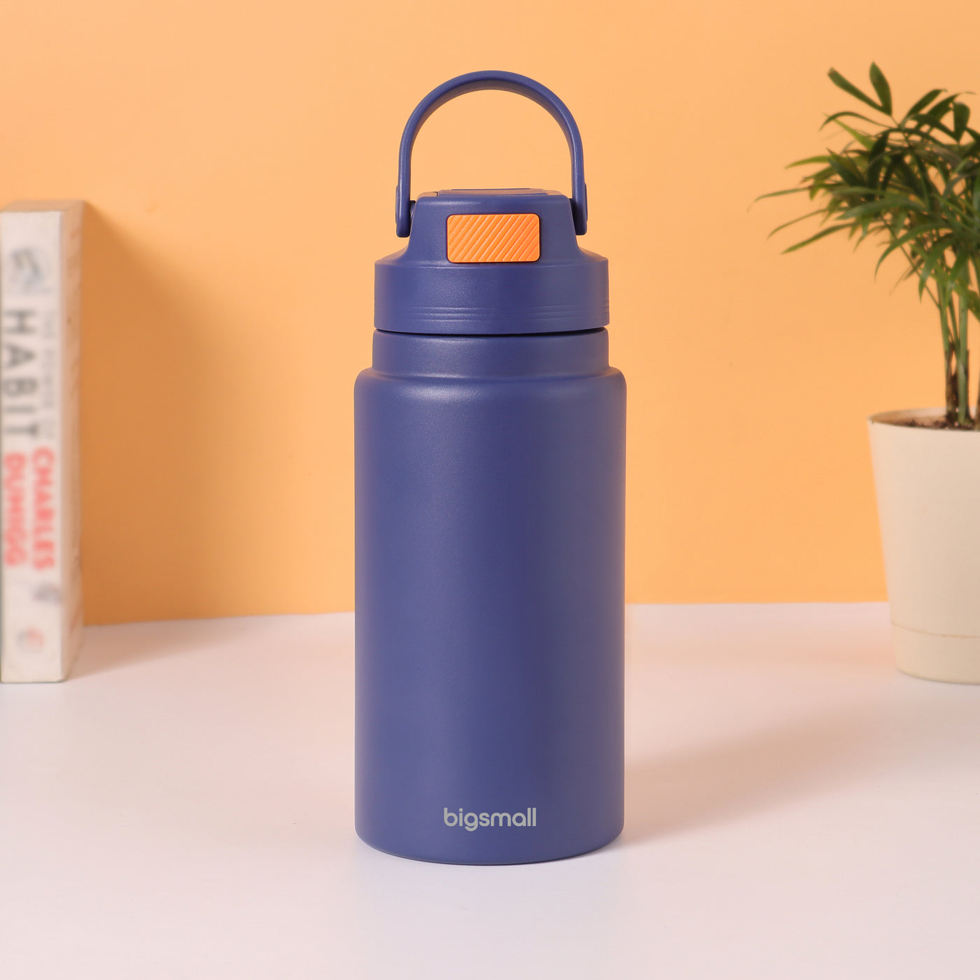 BSDW01- NomadSip 800 ML