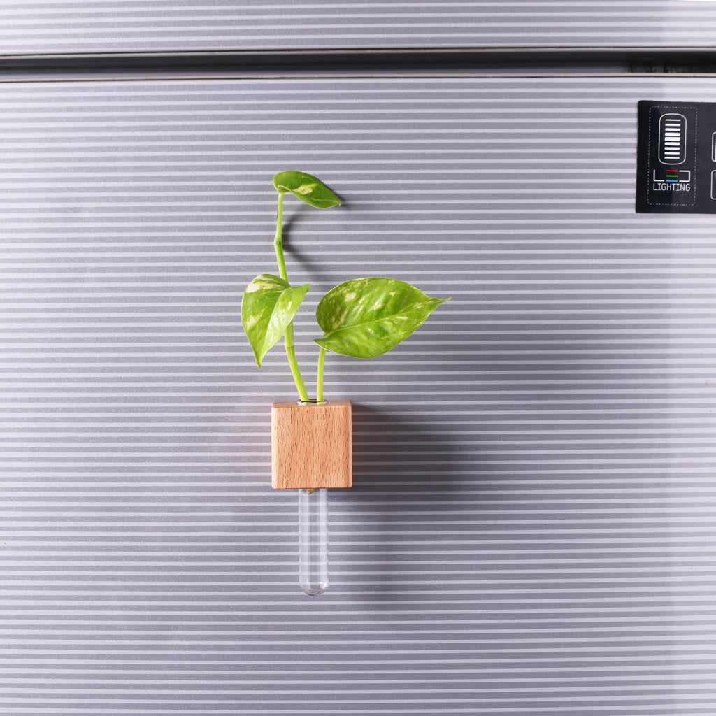 OG35- Wooden Planter Fridge Magnets
