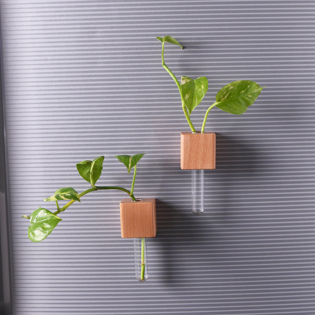 OG35- Wooden Planter Fridge Magnets