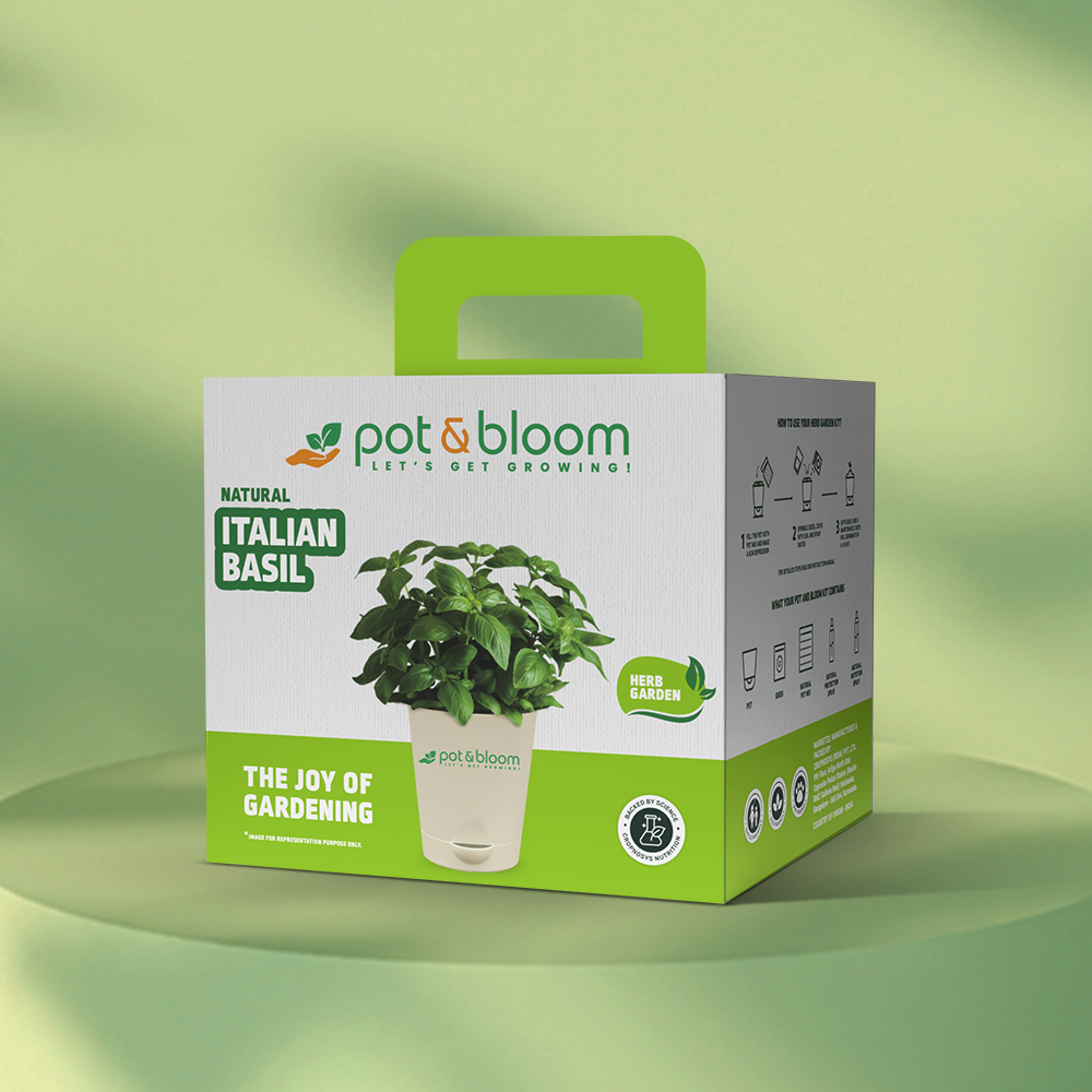 Italian Basil Kit - official Pot & Bloom image