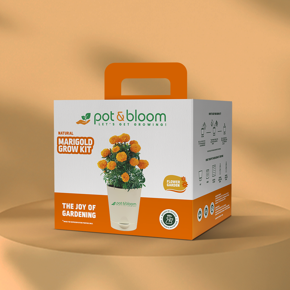 Marigold Grow Kit (Medium) - official Pot & Bloom image