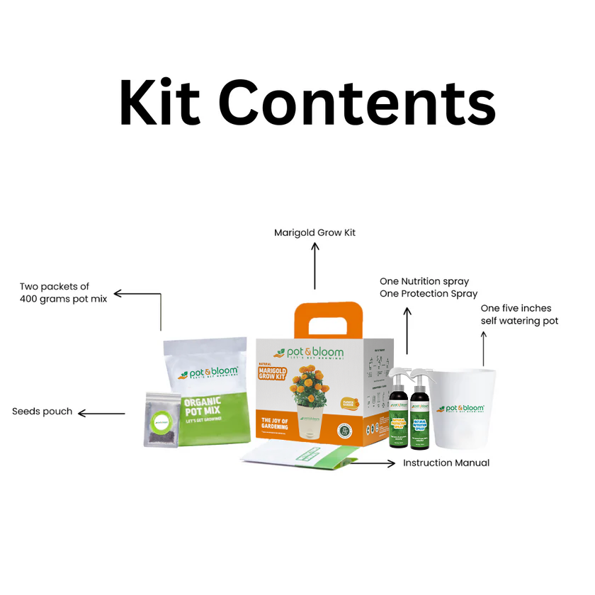 Marigold Grow Kit (Medium) - official Pot & Bloom image