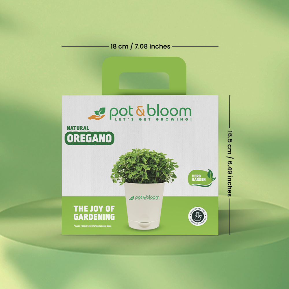 Oregano Kit - official Pot & Bloom image