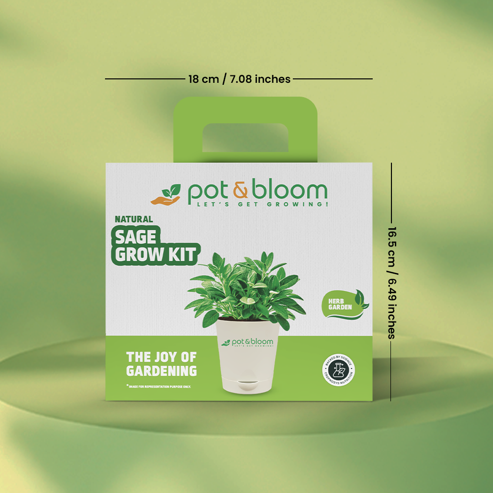 Sage Grow Kit - official Pot & Bloom image