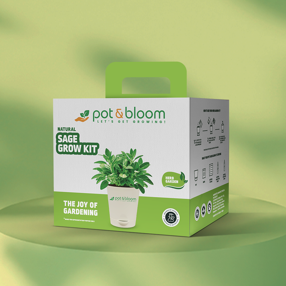 Sage Grow Kit - official Pot & Bloom image