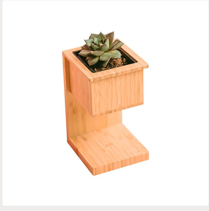 ED152- Wangari Alder Wireless Charger with Planter