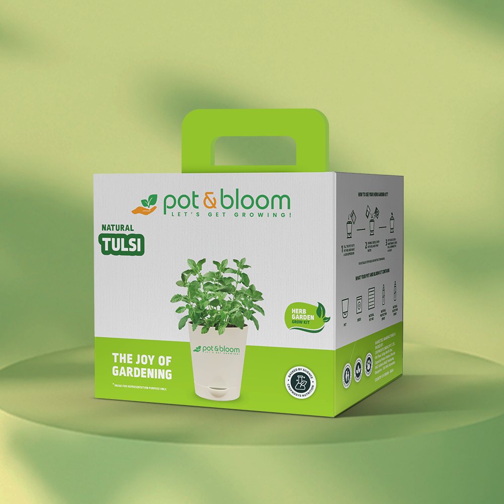 Tulsi Grow Kit - official Pot & Bloom image