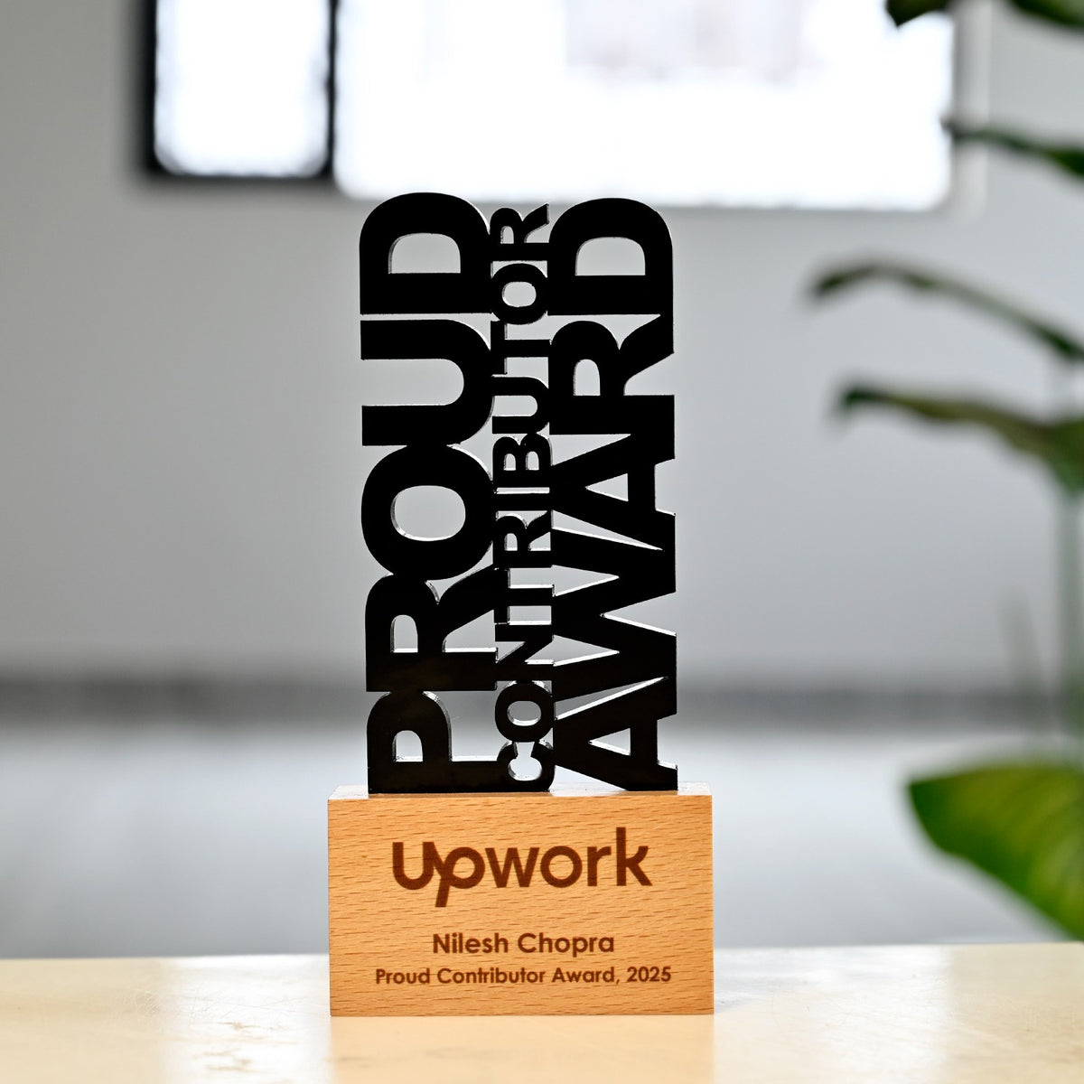 BSTM78 - Proud Contributor Award - Image 2