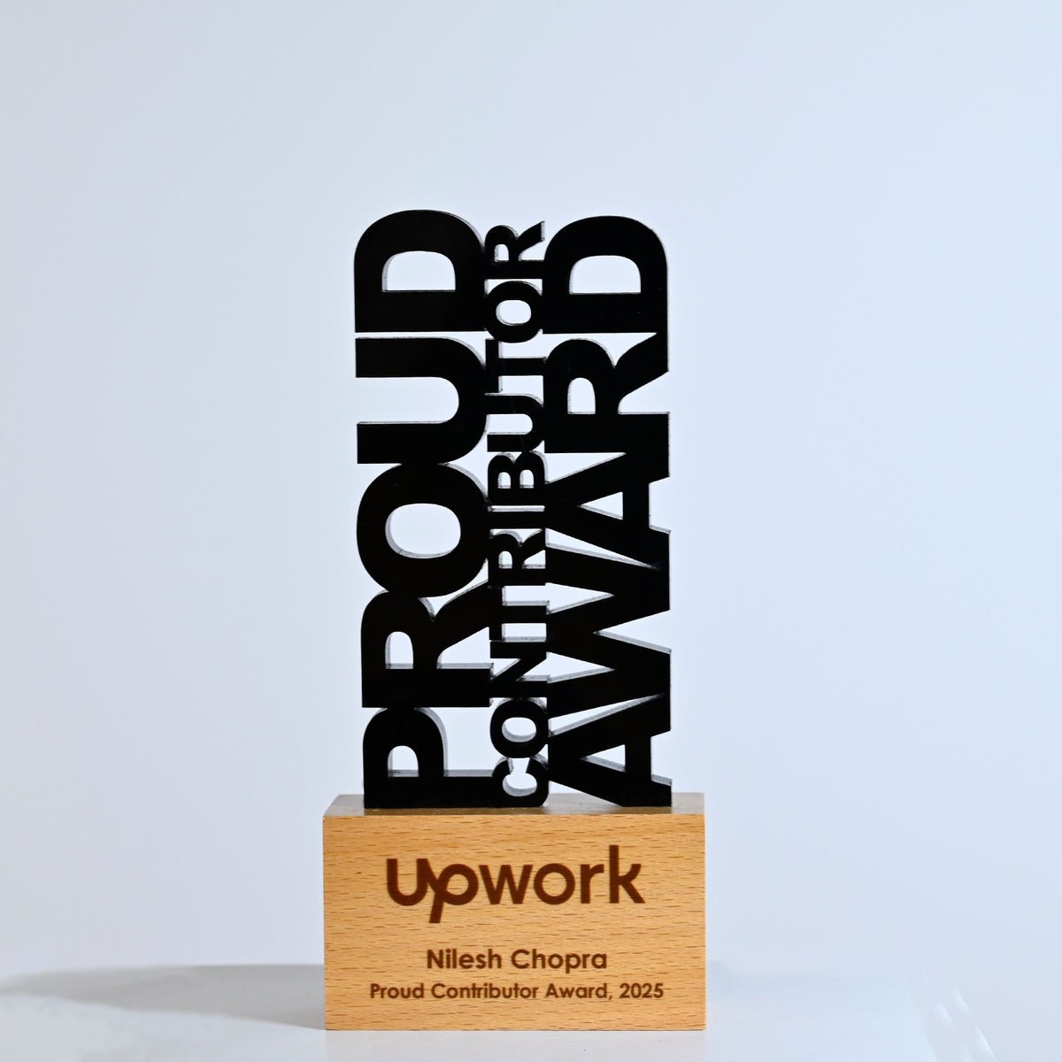 BSTM78 - Proud Contributor Award - Image 6