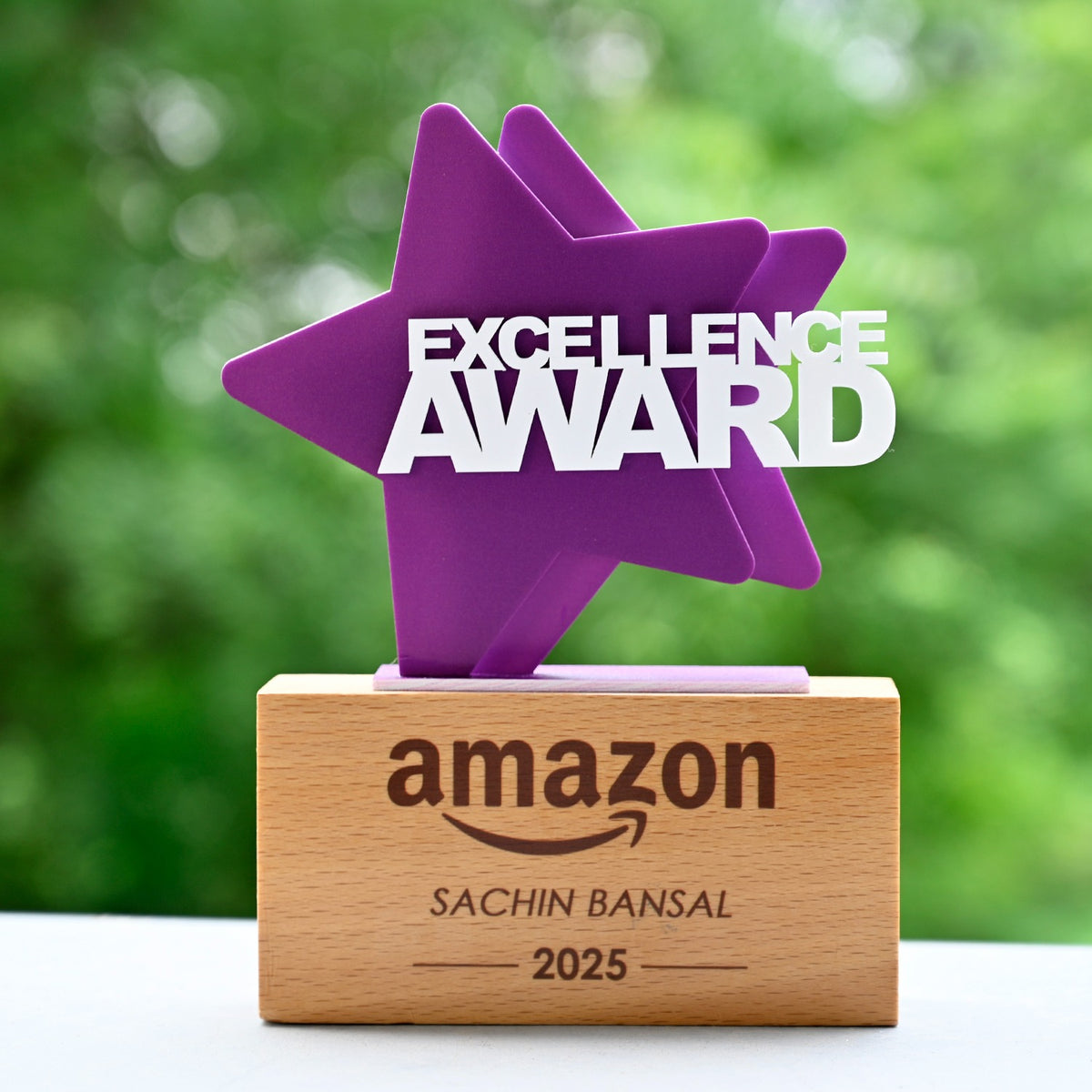 BSTM77 - Star Excellence Award - Image 5