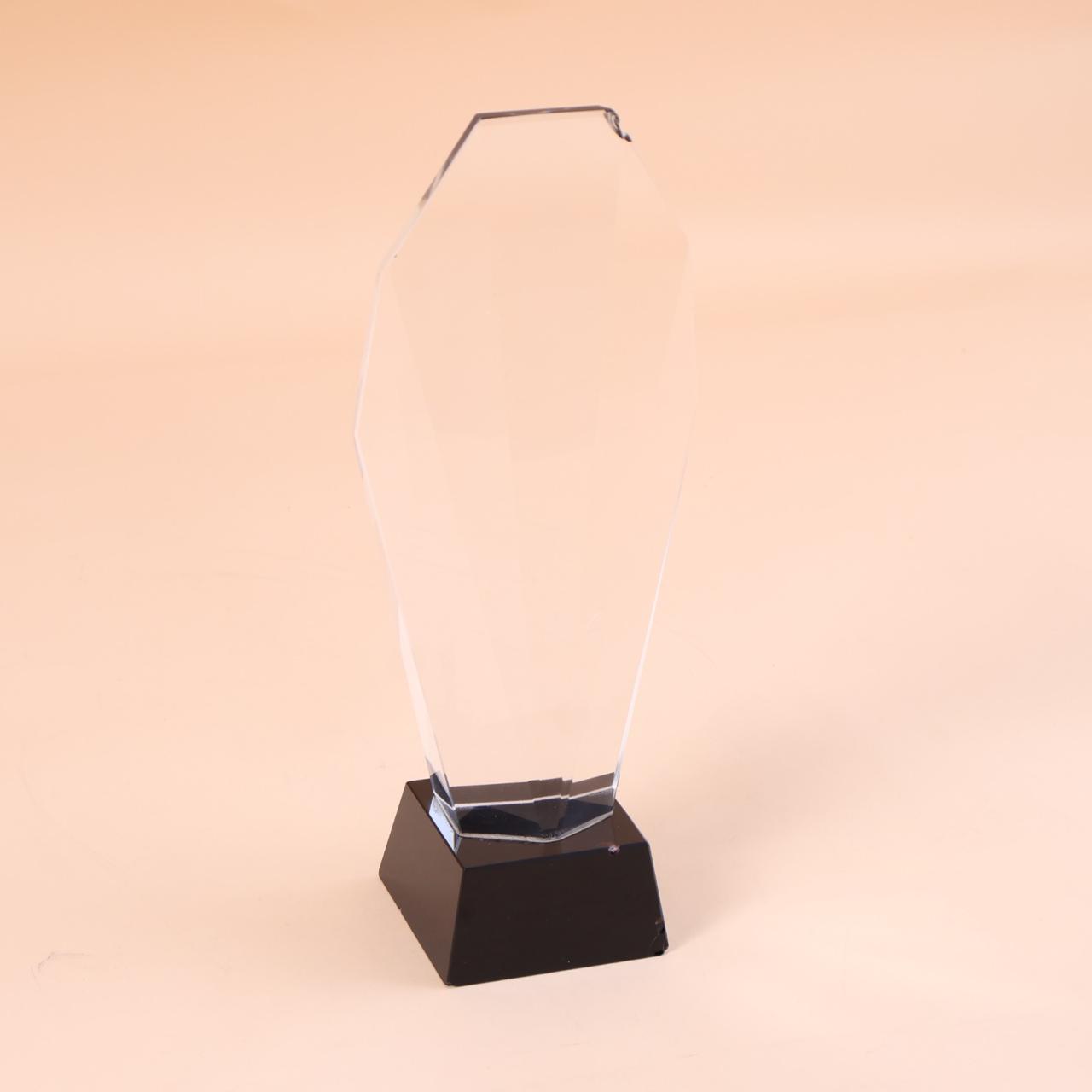 BSTM59- Custom Trophy