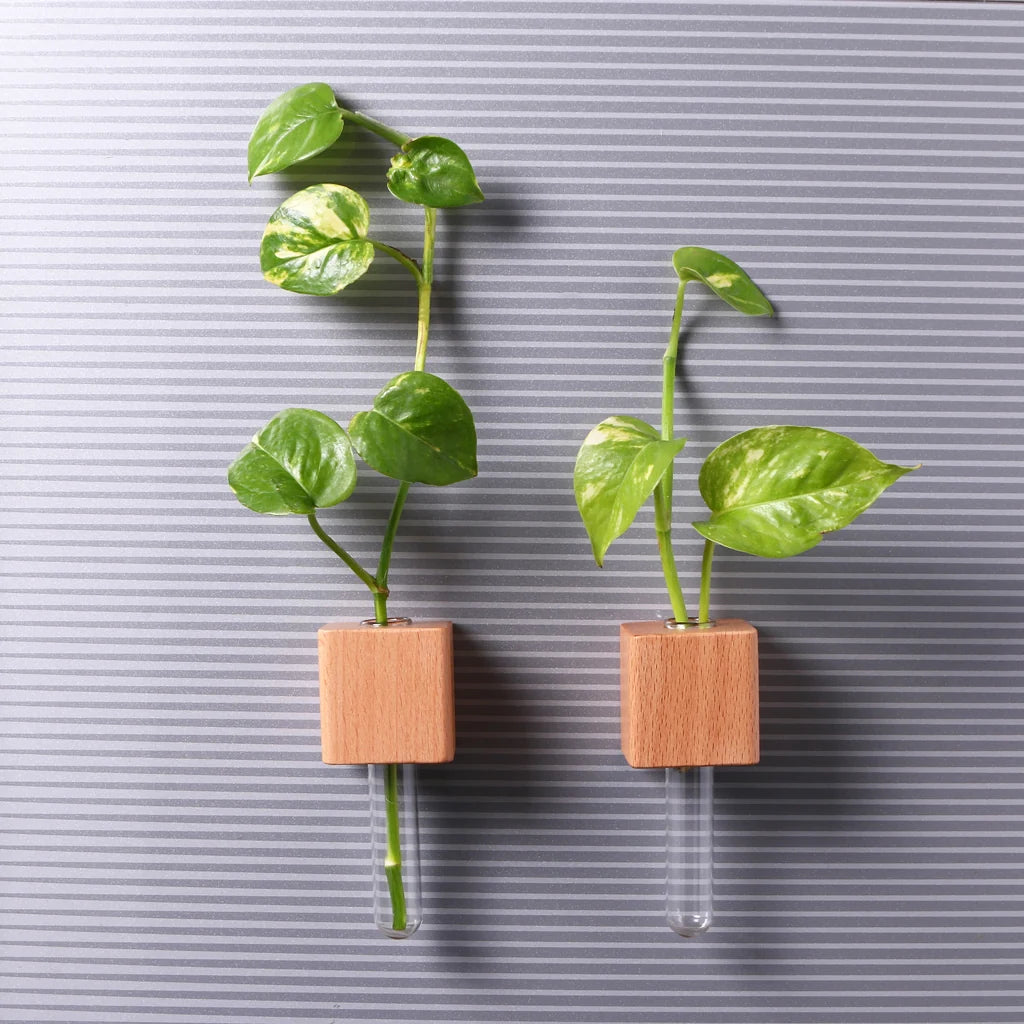 OG35- Wooden Planter Fridge Magnets