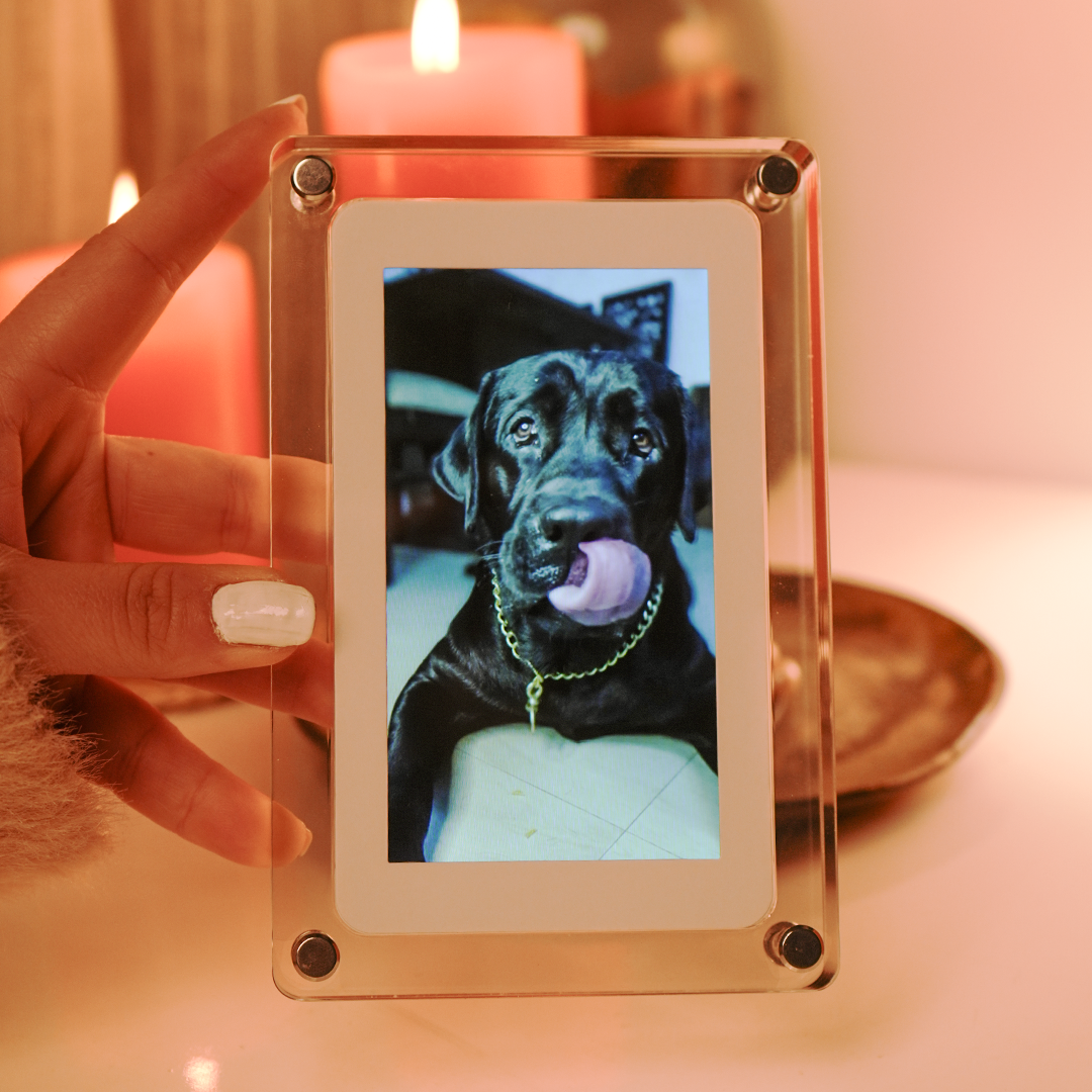 OG10- Digital Photo & Video Frame