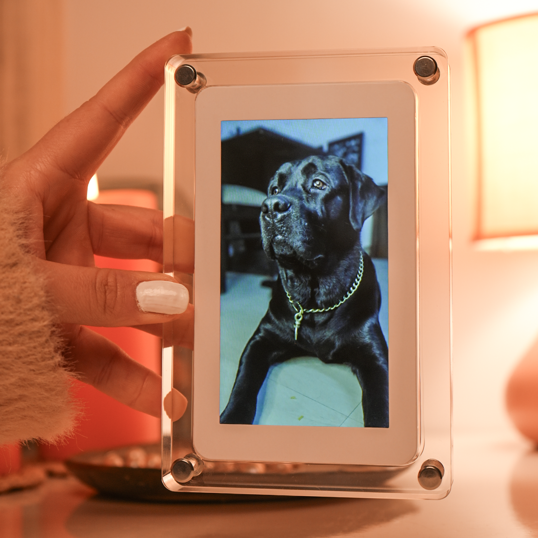 OG10- Digital Photo & Video Frame