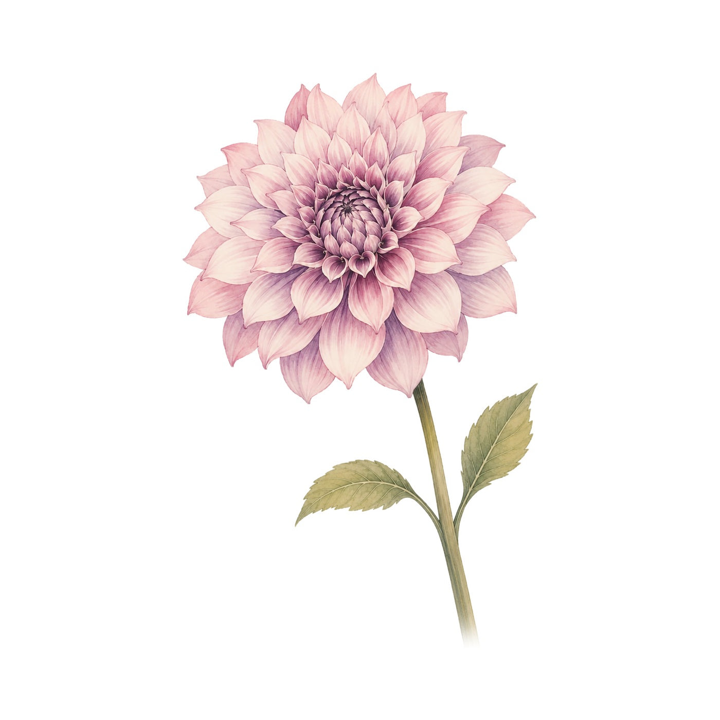 Dahlia Grow Kit (Medium) - Pot & Bloom