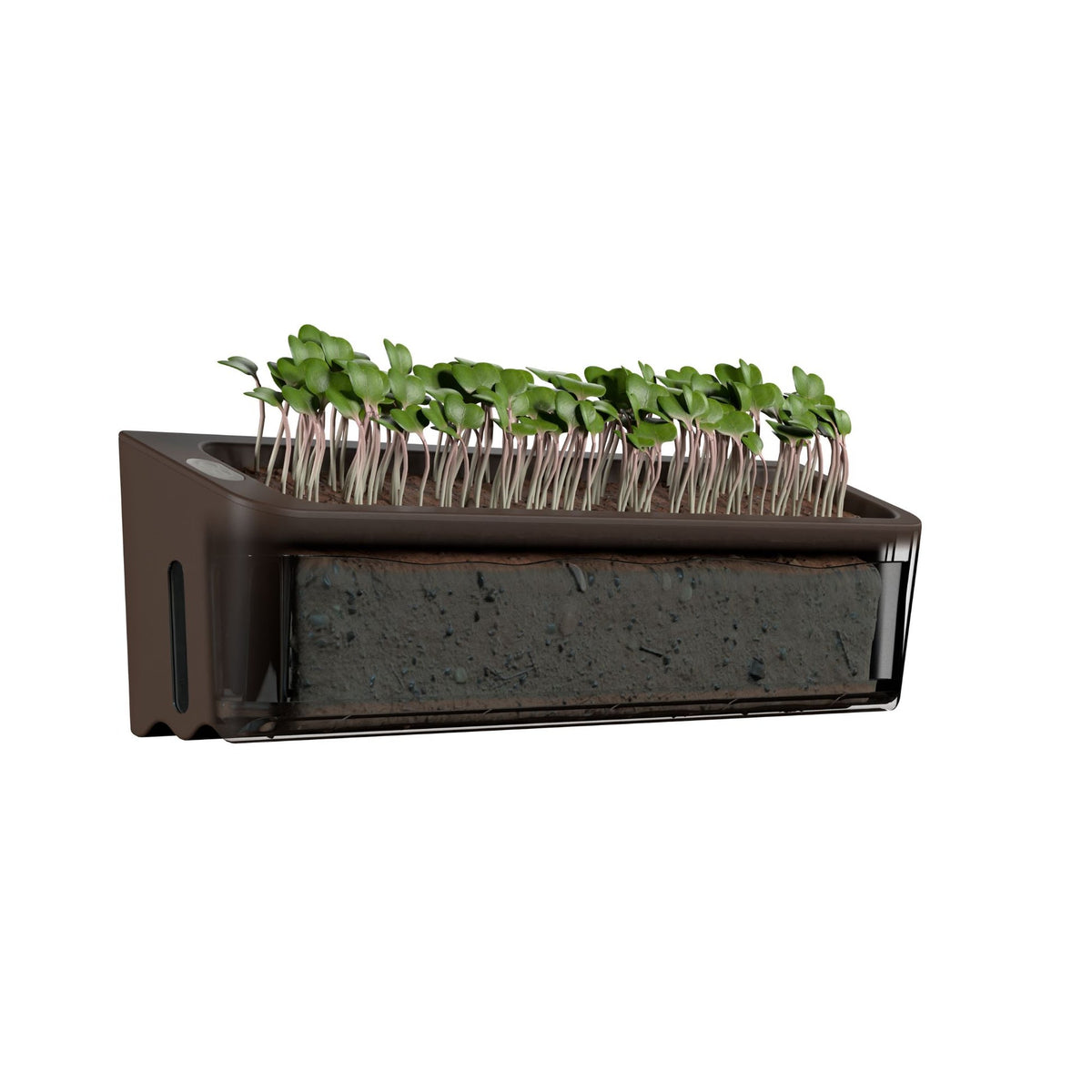 Quuincy Terrarium Self-Watering Planter corporate gift