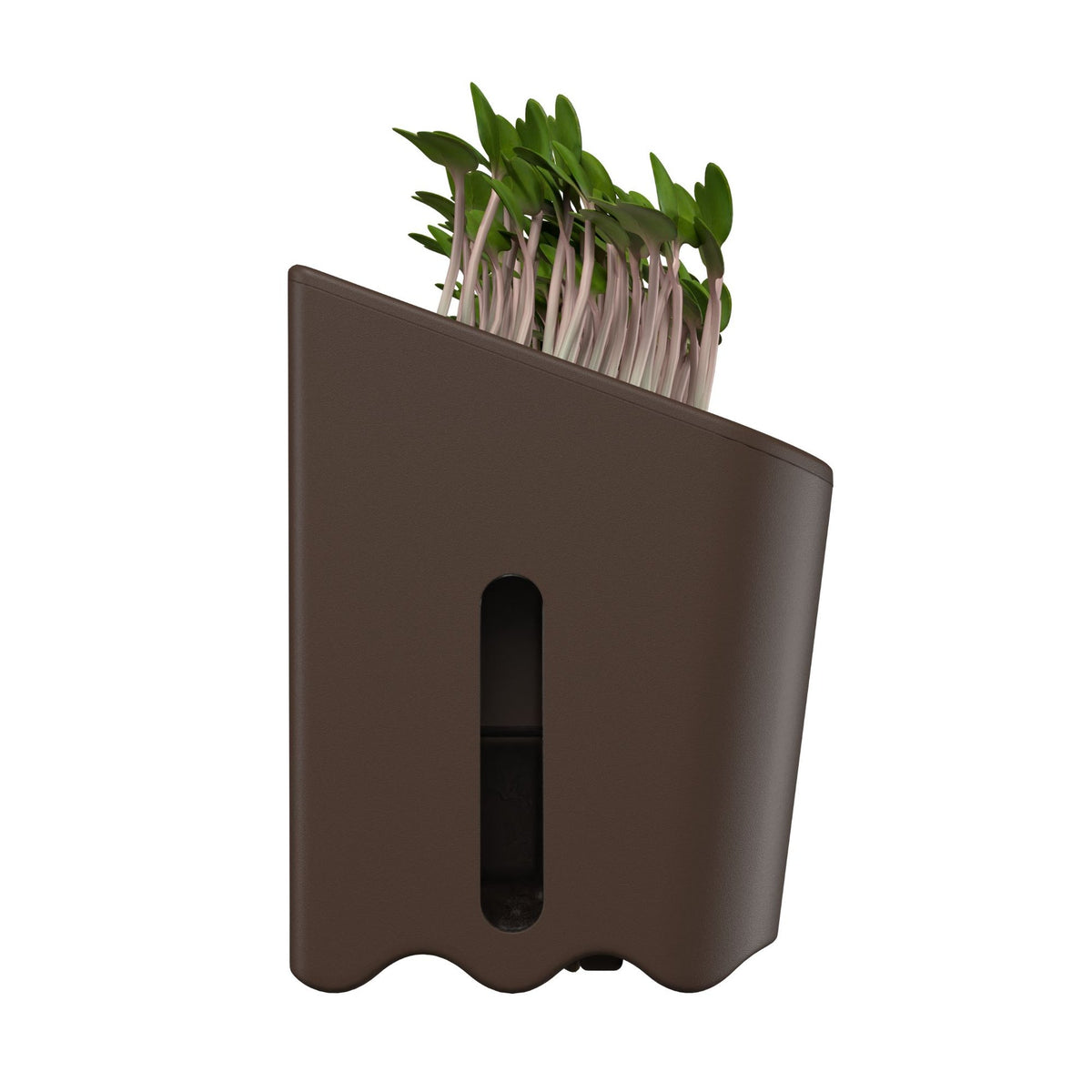 Quuincy Terrarium Self-Watering Planter corporate gift