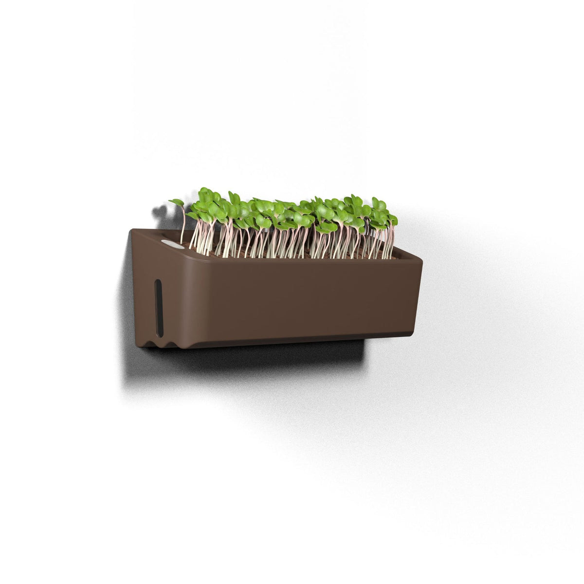 Quuincy Terrarium Self-Watering Planter corporate gift