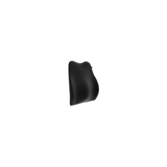 Car Backrest