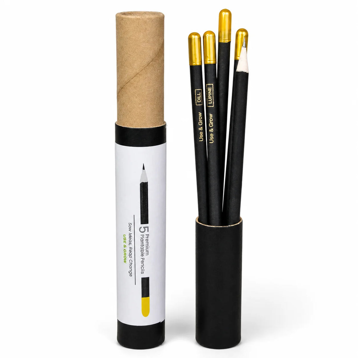 ECO03- BioQ Plantable Pencil Set of 5